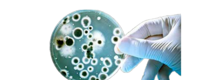 1721013441216218.png QQ截圖20240715111558.png