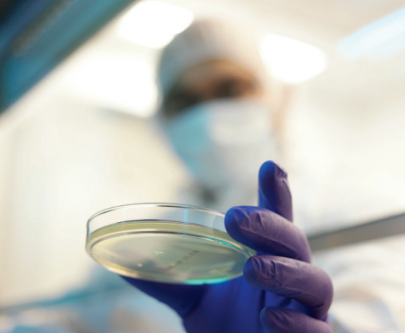 1732601627766207.png QQ20241126-141240.png